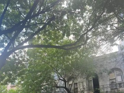 Lote en San Telmo. Oportunidad?!!